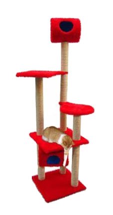 ARRANH CASTELO  - AG 12