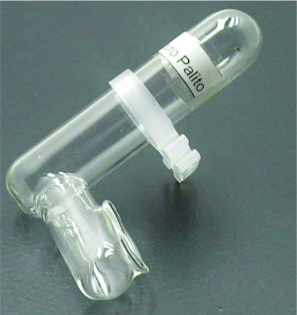 BEBED PÁSS VIDR 20ML PAL LONG C-614 C/12UN-660