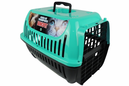 CAIXA TR PL Nº 01 BRPET - VERDE