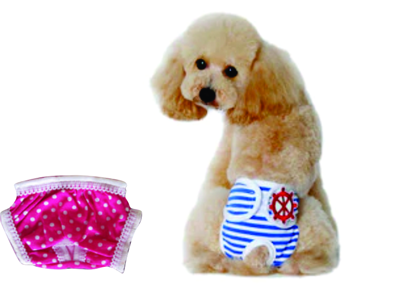 CALCINHA EM RENDA     PP