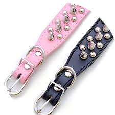 COLEIRA SINT LISA GDE C/ PONTALETE - J0667