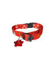 DISP COL GATO ELÁST SEDA PATINHA C/10UN - 350