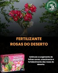 FERT DISP C/36UN ROSA DESERTO 30GR (V06/27)315
