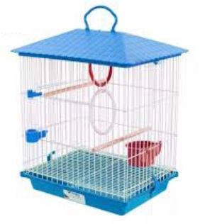 G PASS BRANCA CAÇULINHA TETO PL AZUL RF1110