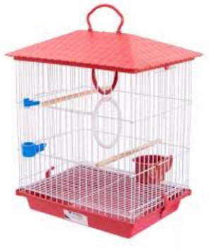 G PASS BRANCA CAÇULINHA TETO PL VERM RF1111