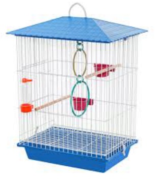 G PASS BRANCA CALOP/OUTROS TETO PL AZUL RF901