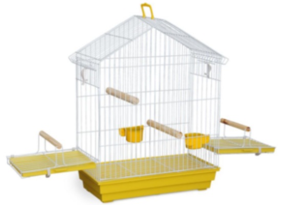 G PASS CALOPSITA BRAG TETO ARAME - PA014