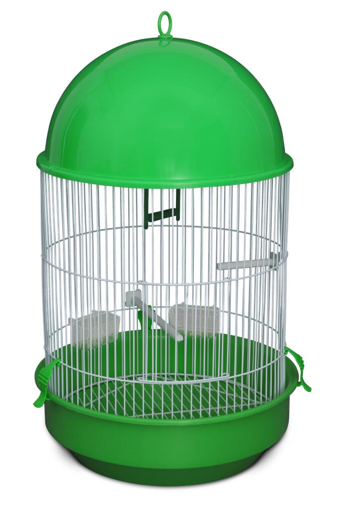 G PASS PIU-PIU REDONDA BRAG - PA026