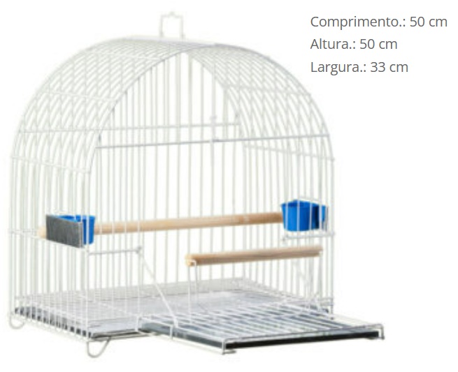 G PASS PRATA P003A PAPAG ARCO DUP *****