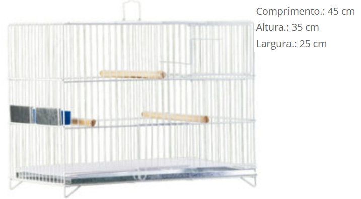 G PASS PRATA P029 PERIQUITO *****