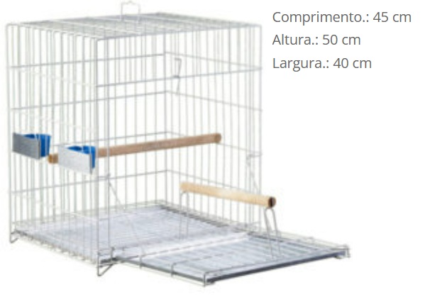 G PASS PRATA P034 PAPAG DUPLEX *****