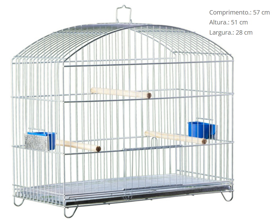 G PASS PRATA P040 SABIA/TRINCA FERRO *****