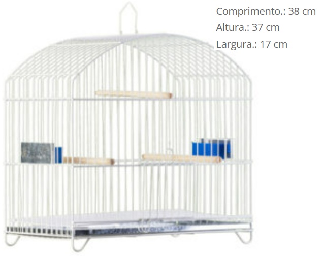 G PASS PRATA P041 BELGA *****