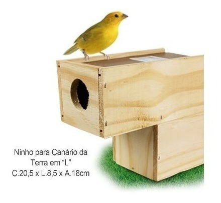 NINHO MAD PINUS CAN TERRA " L " C/06UN - 970