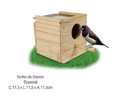 NINHO MAD PINUS MANON C/10UN - 675