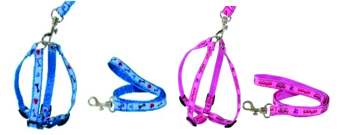 PEIT C/ GUIA AMER REG DEC Nº 03