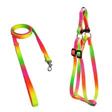 PEIT C/ GUIA AMER REG SEDA Nº 02