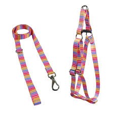 PEIT C/ GUIA AMER REG SEDA Nº 03