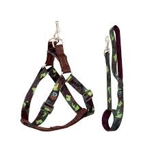 PEIT C/ GUIA AMER REG SEDA Nº 05