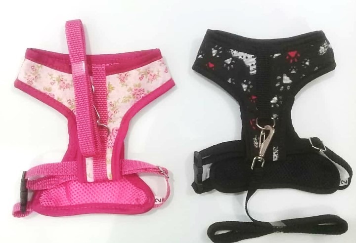 PEIT C/ GUIA COLETE FECHADO Nº 0