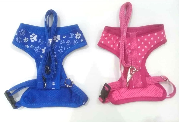 PEIT C/ GUIA COLETE FECHADO Nº 3