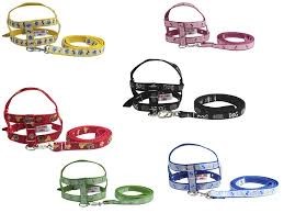 PEIT C/ GUIA DECORADO KIT 72UN (0A5) - 900