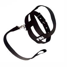 PEIT C/ GUIA FBI MED PORTE Nº 05