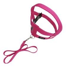 PEIT C/ GUIA FBI MED PORTE Nº 06