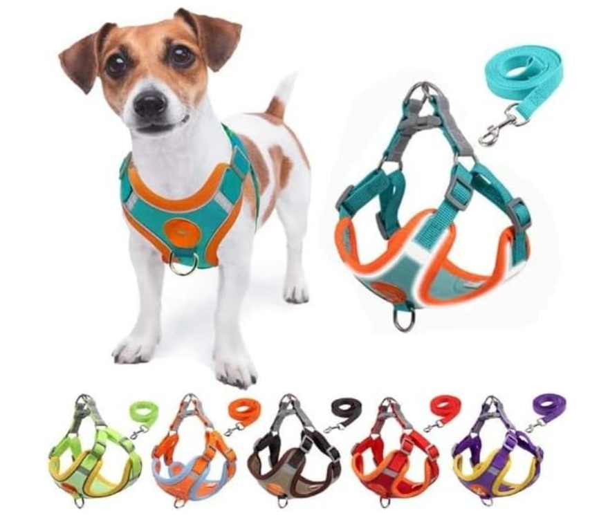 PEIT C/ GUIA COLETE SINT GIG - J2160