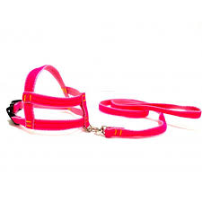 PEIT C/ GUIA MASTER AVELUDADO  M