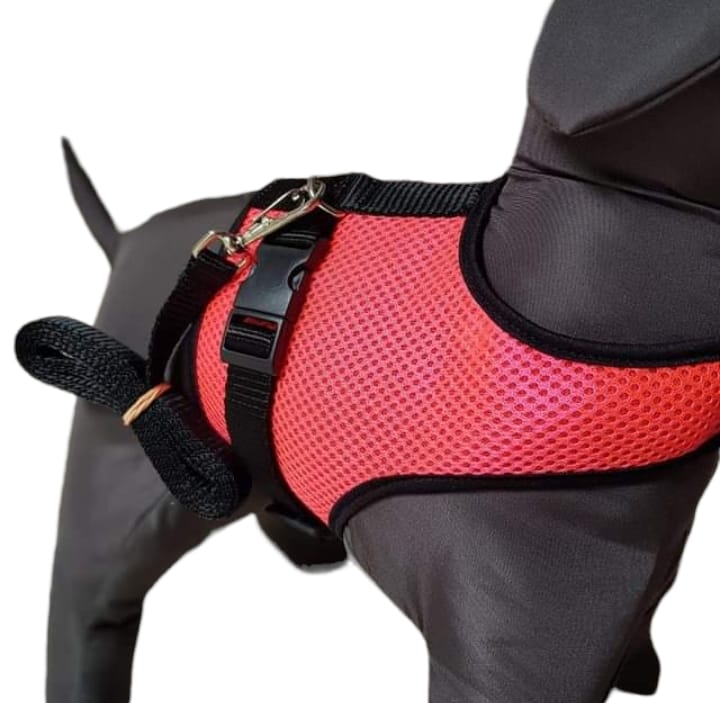 PEIT C/ GUIA CONFORT C/ TELA Nº 02 - 23CM