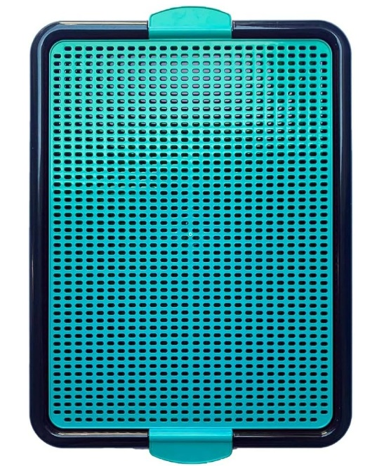 SANIT XIXI PET VERDE