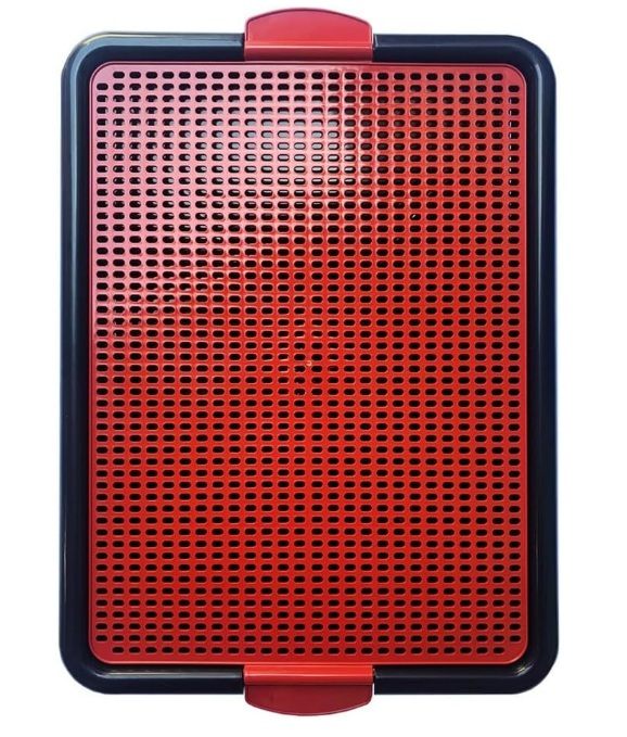 SANIT XIXI PET VERMELHO