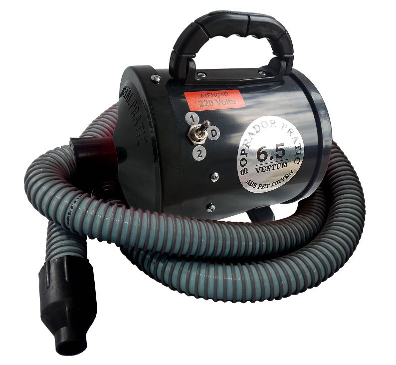 SOPRADOR PRATIC  VENTUM 6.5 - 110V LILAS