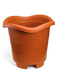 VASO PL RED BORDA TL (A11XL12)C/10U R-290 -280