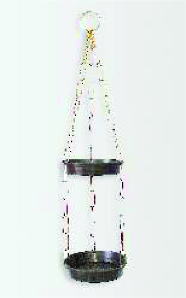 VIOLETEIRA CORR 2 PRAT 49CM C/05UN - 720