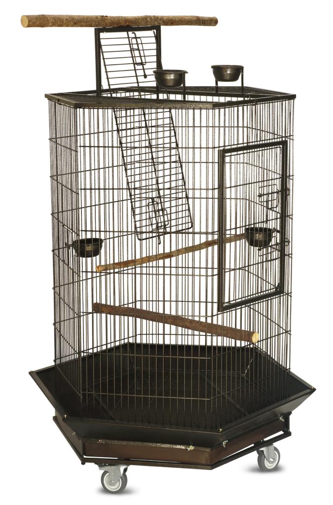 VIV PASS PSITACIDEOS BRAG PLAY MAXI - VP028