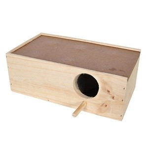 NINHO MAD PINUS PERIQUITO C/10UN - 650