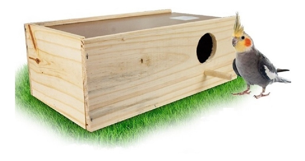 NINHO MAD PINUS CALOPSITA C/6UN - 2300