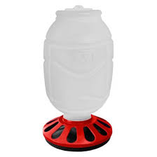 COMED AVES 12 FUROS +/- 3,5LT - C/12UN - 1890