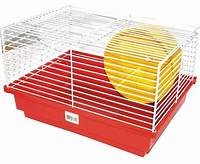 G HAMSTER BRASILEIRINHA REF 101