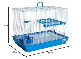 G HAMSTER PORQ INDIA/CHINCH AZUL