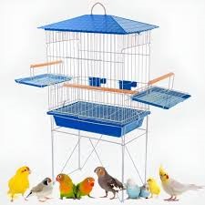 VIV PASS CALOPSITA BAND LATERAL CORES